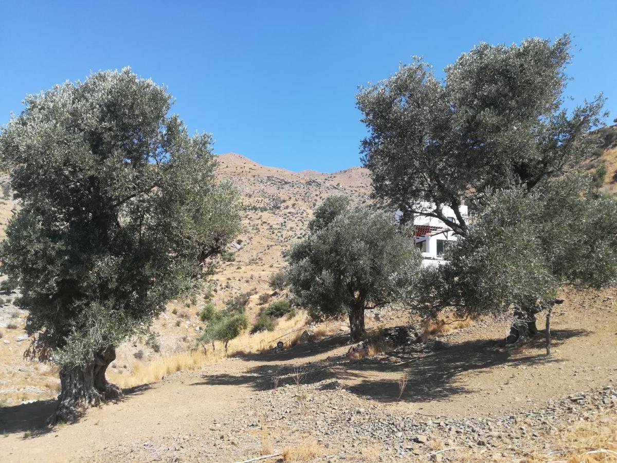 Sea Breeze Ecological Villa Agia Galini Exteriér fotografie