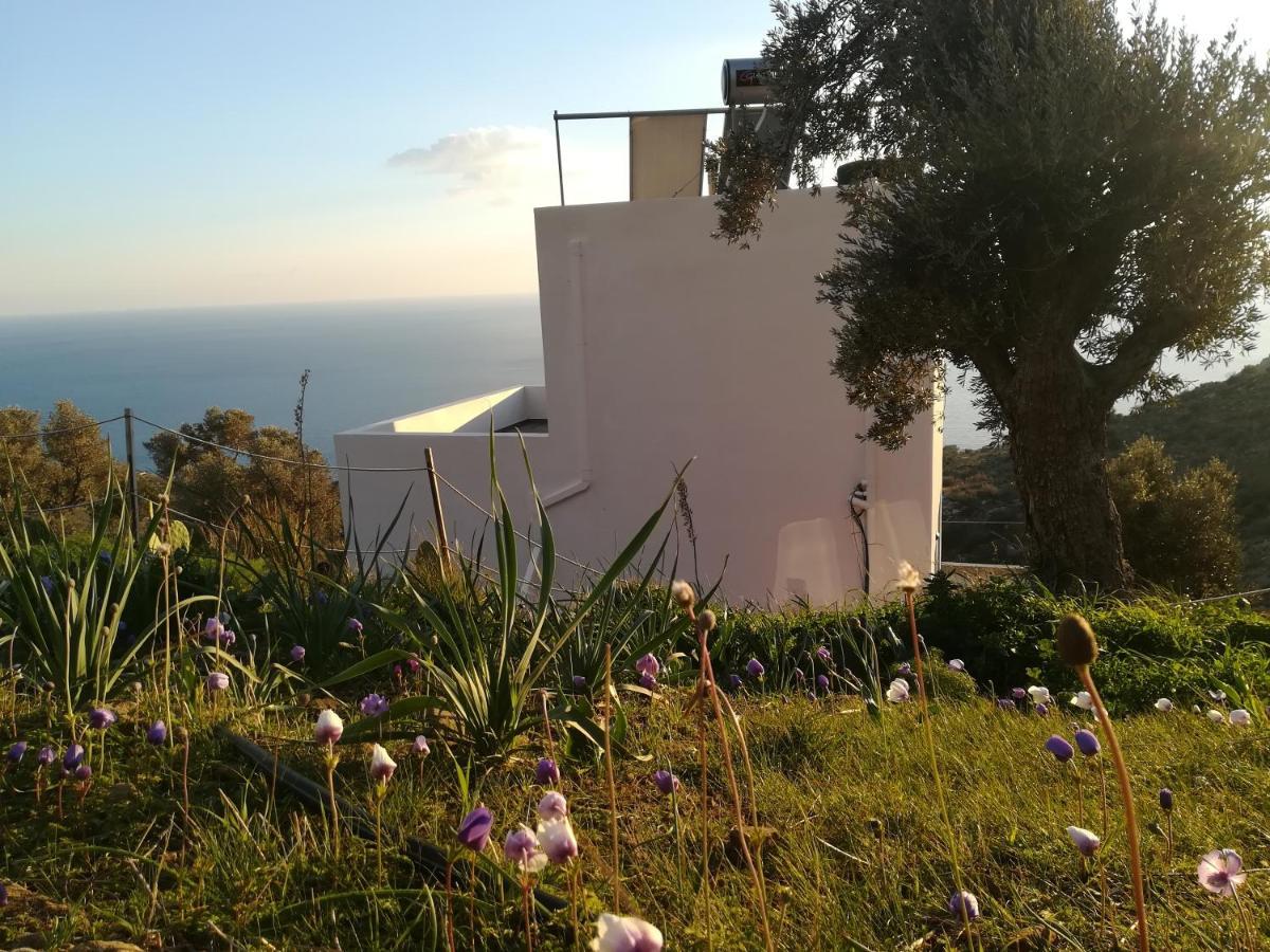 Sea Breeze Ecological Villa Agia Galini Exteriér fotografie